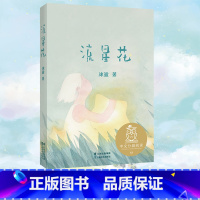 流星花 [正版] 小狐狸打灯油 注音全彩 亲近母语中文分级阅读K1小巴掌童话 儿童文学 中国传统故事 母语滋养孩子心灵