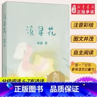 流星花 [正版] 流星花 亲近母语中文分级阅读K1 6-7岁适读儿童文学 注音全彩中国传统故事 童趣母语滋养孩子心灵 儿