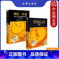 刑法一本通第十七版+刑事诉讼法一本通第十八版 [正版] 2024新 2本套 刑法一本通第17版含刑法修正案十二 +刑事诉