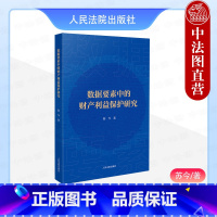 数据要素中的财产利益保护研究 [正版] 2024新 数据要素中的财产利益保护研究 苏今 数据资源合理界定 数据要素权益保