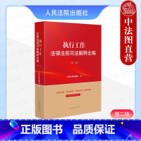 [正版]2024新 执行工作法律法规司法解释全编 第二版第2版 执行工作法律行政法规司法实务指导性案例参考书 执行异议