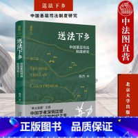 [正版] 2022新 送法下乡 中国基层司法制度研究 第三版第3版修订版 苏力代表作 基层法院审判知识纠纷解决 司法制