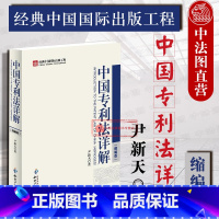 [正版] 中国法详解 缩略版 尹新天 代理人 申请审查期限 中国法律制度 考试工具书 权保护 知识产权出版社