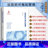 [正版] 法院的可视化管理 邹碧华著 法院管理全程可视化建设 可视化管理制度模式 司法责任制 数据统计维护 法院绩效管