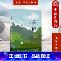 [正版] 羊道 深山夏牧场 李娟 李娟经典散文集 羊道三部曲 非虚构长篇散文 梁文道 王安忆 刘亮程等 人民文学奖 朱