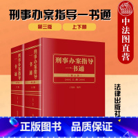 [正版] 2022新版 刑事办案指导一书通 第三版第3版 上下册 丁银舟 刑事法理论应用教科书刑事法律司法解释条文理解