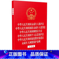 [正版]中华人民共和国未成年人保护法 预防未成年人犯罪法 网络安全法 个人信息保护法 家庭教育促进法 未成年人网络保护