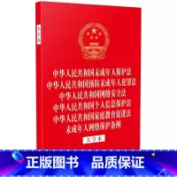 [正版]中华人民共和国未成年人保护法 预防未成年人犯罪法 网络安全法 个人信息保护法 家庭教育促进法 未成年人网络保护