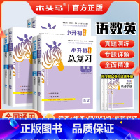 [小升初总复习]语文+数学+英语[学本+练本]高效突破 小学一年级 [正版]2025版阅读力测评一二三四五六年级上册Aa