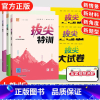 [配套6册❤️特训+大试卷]语数英人教版 六年级上 [正版]24秋特训拔尖大试卷小学生上册下册语文数学英语人教版北师版外