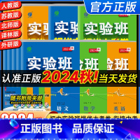 [人教版]语数英物化5本套装 九年级/初中三年级 [正版]2025版实验班初中提优大考卷七年级上八年级下九年级上册下册科