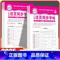 [3-6年级可选●推荐3本装]活页字帖+句式训练+同步阅读 六年级上 [正版]2025春下册王朝霞活页字帖语文正楷田字格