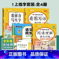 [1年级上册]同步练字帖+阅读理解+看图写话+看拼音写词语 小学通用 [正版]2024人教版一年级二年级上册下册练字帖三