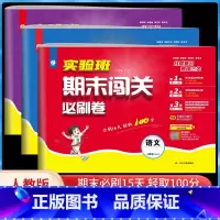 [期末闯关必刷卷]语数英人教版[3本套装] 三年级上 [正版]24秋小学实验班期末闯关必刷卷一二三四五六年级上下册语文数