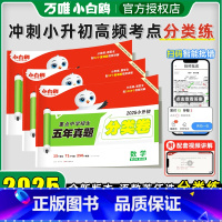 语数英⭐小升初真题分类卷[三本套装]] 小学升初中 [正版]2025新版万唯小升初真题分类卷语文数学英语小学专项训练分班