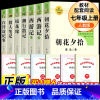 全套7册-七年级上册必读名著(学校推荐版全册) [正版]白洋淀纪事(人民教育出版社)孙犁原著完整版7年级上册初一语文名著