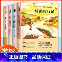 [全套4册]快乐读书吧六年级下册 [正版]鲁滨逊漂流记 六年级下册必读课外阅读书 必读快乐读书吧名著经典书目儿童文学丛书