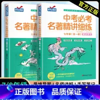 [七八九年级]中考名著精讲细练 初中通用 [正版]中考必考名著精讲细练初中名著导读七八九年级全套考点精练一点通语文中考名