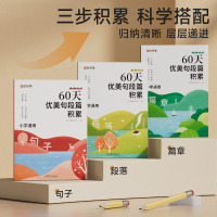 句子+段落+篇章+赠册 小学通用 [正版]60天优美句段篇积累大全小学生好词好句好段句子基础知识专项训练打卡一二三四五六
