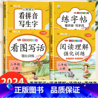 [全套4本]看图写话+阅读理解+同步练字帖+看拼音写词语 二年级上 [正版]小学二年级上册看图写话人教版老师每日一练专项