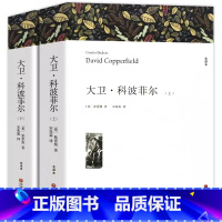 大卫科波菲尔 [正版]大卫科波菲尔上下2册无删减 原著完整版宋兆霖翻译 高中阅读课外阅读书籍全套 高中生高一语文课外必