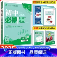 [北师版]物理 九年级上 [正版]2025新版初中九年级下册物理人教版RJ 初三九下9中考初三下册物理练习册教辅自学资料
