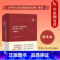 [正版]中法图 中华人民共和国民法典评注 精要版 新民法典裁判规范司法实务 民法学人进阶体系司法实务法学教辅法律工具书