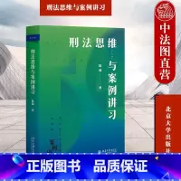 [正版]中法图 2023新 刑法思维与案例讲习 陈璇 北京大学出版社 刑法鉴定式案例分析 刑法教学书籍 律师法官检察官
