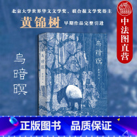 [正版]出版公司直发 乌暗暝 黄锦树 马来西亚文学小说书籍 南洋华人集体命运 移居南洋华人种族压迫殖民侵略认同焦虑 热