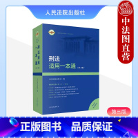 [正版]中法图 2024新刑法适用一本通 第三版第3版 新刑法修正案十二修改条文内容 刑事解释指导性案例司法实务工