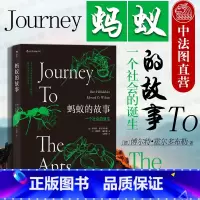 [正版]出版公司直发 蚂蚁的故事 全方位讲述蚂蚁进化历程 蚂蚁习性 蚂蚁社会诞生 通过蚂蚁社会反观人类社会 昆虫科普蚂