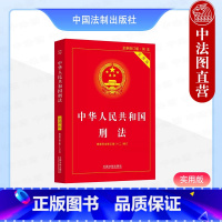 [正版]中法图 2024新中华人民共和国刑法实用版 第十版 法制 刑法修正案十二修订 刑法条文主旨司法解释理解与适用典
