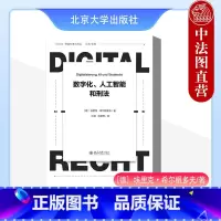 [正版]中法图 数字化人工智能和刑法 北京大学 德国刑事法译丛 数字化人工智能刑事规制理论网络刑法自主驾驶法律刑事程序
