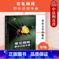 [正版]中法图 常见蜘蛛野外识别手册 重庆大学 蜘蛛分类系统生物学经济价值识别特征常见种类 博物学自然科普昆虫学蜘蛛野