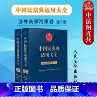 [正版]中法图 中国民法典适用大全 涉外商事海事卷 扩展卷 人民法院 新民法典涉外商事海事关联规定条文释义案例审判工作
