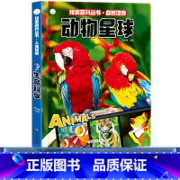 [正版]小笨熊3D探索百科丛书自然传奇动物星球儿童立体书3d翻翻书神奇的动物世界书籍3-6-8岁趣味科普儿童绘本图画书