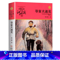 导盲犬迪克 [正版]导盲犬迪克沈石溪动物小说珍藏版全集白象家族野犬女王黑天鹅紫水晶长篇系列单本课外书青少年课外读物9-1