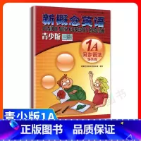 [正版]新概念英语青少版1a同步语法练习 含参考答案 新概念英语青少版1a同步语法快乐练 新疆青少年出版社 新概念青少