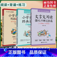 [套装3册]阅读+背诵+练习 小学通用 [正版]2024新版小古文启蒙读本小学文言文阅读与训练三年级四五六年级走进小古文