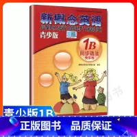 [正版]外研社青少版新概念英语同步语法快乐练1B新概念英语青少版1b同步语法练习新概念英语青少版1a语法 新概念青少版