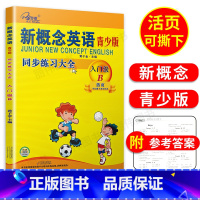 [正版]子金传媒新概念英语青少版入门级B练习册活页可撕下新概念入门级B同步练全新概念青少版入门级B同步练习测试入门