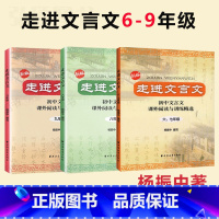 (全3册)走进文言文 六-九年级 初中通用 [正版]走进文言文六七年级文言文阅读与训练七年级初中文言文阅读与训练杨振中走