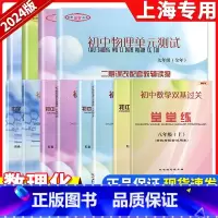 堂堂练数学+单元测试+答案 六年级下 [正版]新版2024-2025年堂堂练六七八九年级初中数学单元测试堂堂练初中数学双