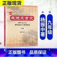 杨振中 走进文言文 九年级/初中三年级 [正版]新版 走进文言文 九年级 初中文言文 课外阅读与训练精选 9年级九年级初