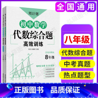 周计划 初中数学代数综合题高训练 8年级 初中通用 [正版]周计划初中语文课外文言文阅读现代文作文名著阅读基础知识数学计