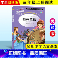 [正版]格林童话 原版小学生青少年版 儿童故事书籍 世界经典名著 8-9-10-12周岁阅读读物三四五六年级课外书格林