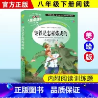 [正版]钢铁是怎样炼成的 中小学生彩图7-9-12岁青少年版儿童文学书籍初中原著三年级四年级课外书二三四五六年级青少年