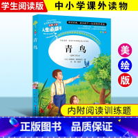[正版]青鸟书 小学生青少版四年级课外书 儿童文学彩图插画无障碍阅读版 少儿三年级五六年级初中生6-7-8-9-10-
