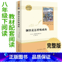 [正版]8年级/八年级下册 钢铁是怎样炼成的 初中生阅读文学名著 原著无删减版人民教育出版社上下册读物中学生课外语文