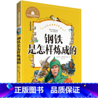 [正版]钢铁是怎样炼成的 彩图注音版 世界经典文学名著宝库 小学生6-12岁 一二三年级课外书 故事书读物 小学生拼音